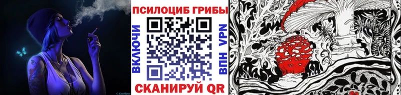 цены   Тында  Псилоцибиновые грибы Magic Shrooms 