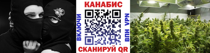 Бошки марихуана семена  Тында 